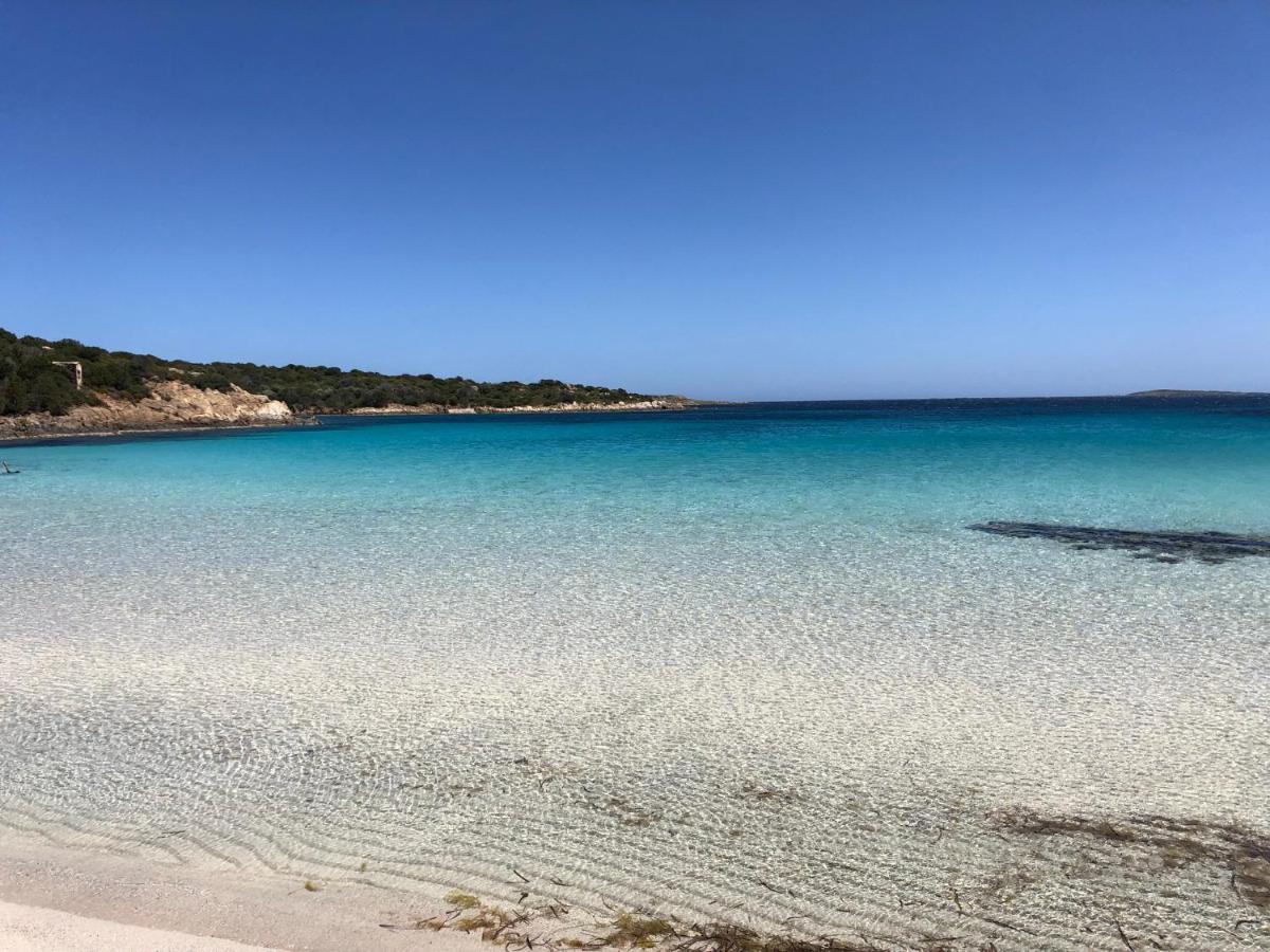 Your Lovely And Elegant Home With Garden Sea View La Maddalena  Zewnętrze zdjęcie